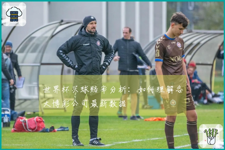 世界杯买球赔率分析：如何理解各大博彩公司最新数据